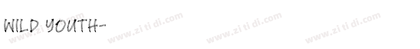 Wild youth字体转换